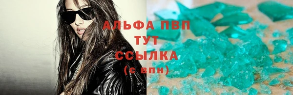 сатива Белоозёрский