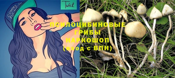 спайс Богданович