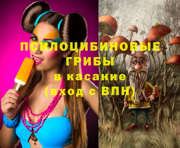сатива Белоозёрский